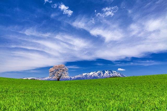 特定非営利活動法人和讃の会