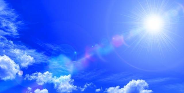 今年の夏